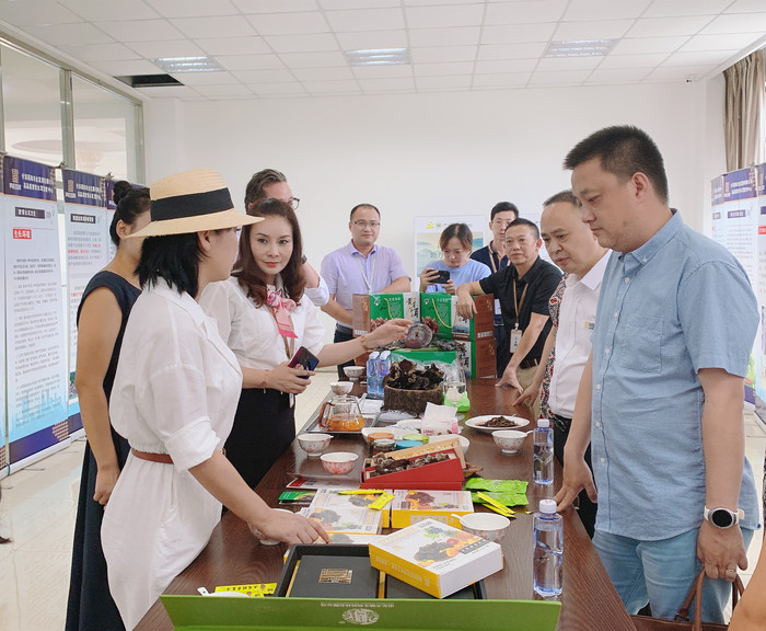 悍马中国项目在蓉举办座谈会 香港昊阳国际控股集团有限公司